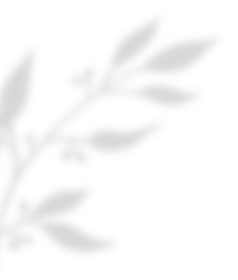 https://onlyday-events.com/wp-content/uploads/2020/11/shadow_leaves_02.png